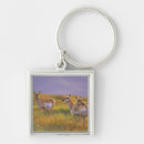 Search for antelopes key rings Wildlife