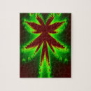 Search for dragonfly puzzles Glowing