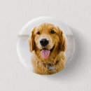 Search for retrievers badges Animal