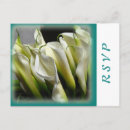 Search for callas postcards Rsvp