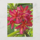 Search for artistic design postcards Flower