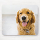Search for panting mousepads Golden retriever