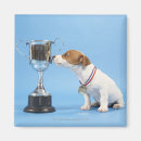 Search for trophy magnets Success