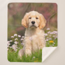 Search for animal photo blankets Puppy