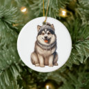 Search for alaskan malamute christmas tree decorations Animal