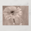 Search for tint postcards Flower