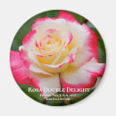Search for delightful magnets Flower