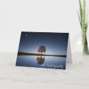 Search for tree of life cards Sunset