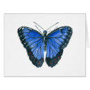 Search for blue morpho butterfly cards Tropical