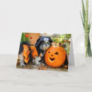 Search for pirate halloween cards Pumpkin