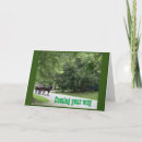 Search for buggy birthday cards Photography