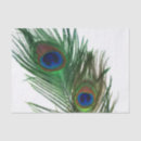 Search for white feather tissue paper Peafowl
