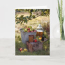 Search for cider cards Photography