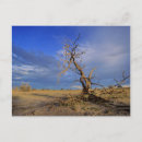 Search for dead tree postcards Africa