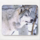 Search for cani mousepads Canis lupus