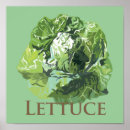 Search for lettuce posters Salad