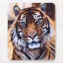 Search for closed mousepads Cat