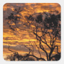 Search for uluru stickers Landscape