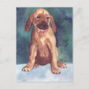Search for sweet brown postcards Cute