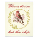 Search for bird freedom posters Wings