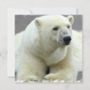 Search for north square invitations Polar bear