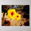 Search for beautiful blossom posters Yellow