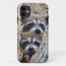 Search for procyon lotor electronics Racoon