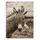 Search for donkey notebooks Horse