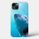 Search for great white shark cases Jaws