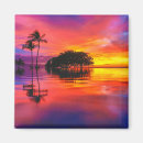Search for reflections magnets Ocean