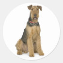 Search for airedale stickers puppy