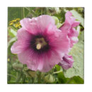 Search for hollyhock tiles Flora