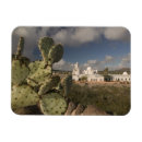 Search for san xavier del bac mission Desert
