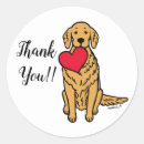 Search for red golden retriever Illustration