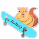 Search for skateboarder guy For her