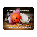 Search for bucket magnets Animals