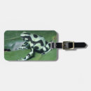 Search for darts accessories Cute