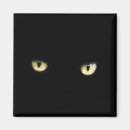 Search for black eye magnets Kitty