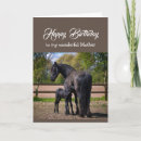 Search for animals funny horse birthday cards Horses