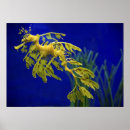 Search for deep dive posters Diving