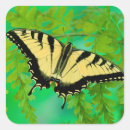 Search for papilio stickers Blue