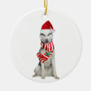 Search for husky christmas tree decorations Thankgiving