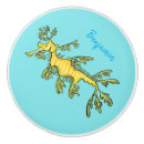 Search for seahorse knobs and pulls Fish