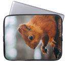 Search for squirrel cases Landscape