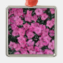 Search for petals christmas tree decorations Floral