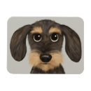Search for dachshund magnets Teckel
