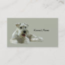 Search for schnauzer business cards Puppy