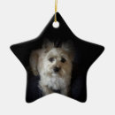 Search for cairn terrier christmas tree decorations Canine