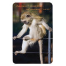 Search for 6 6 magnets Cute