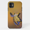Search for maple leaf iphone cases Foliage
